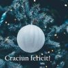 felicitari craciun (10)