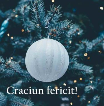 Dragoș Ciobotaru, deputat PNL Vrancea: Crăciun Fericit!