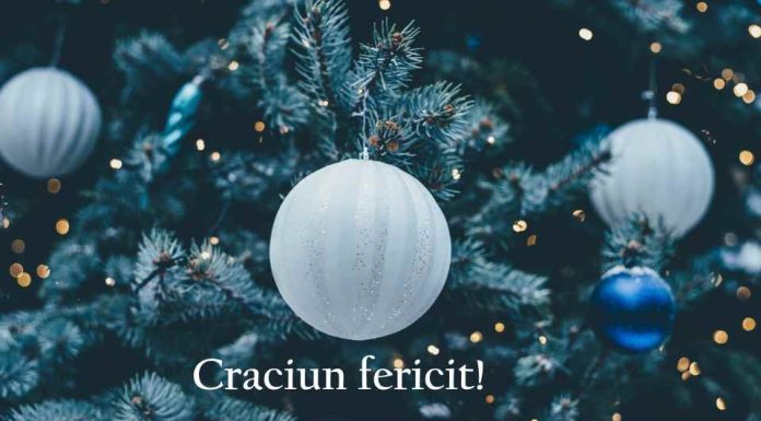 Dragoș Ciobotaru, deputat PNL Vrancea: Crăciun Fericit!