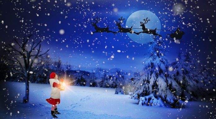 Gabriel Raneti, director ADI Vrancea Curată: Crăciun Fericit și La Mulți Ani!