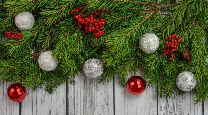 Adrian Gavrilă, primarul comunei Bordești: Crăciun Fericit și La Mulți Ani!