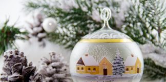 Petruș Vlad, primarul comunei Poiana Cristei: Crăciun Fericit și La Mulți Ani!