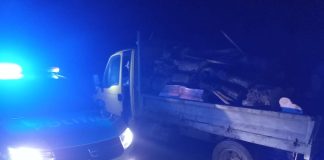 Șofer băut, prins cu mașina cu numere false și cu lemne fără documente legale