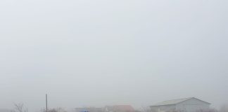 ULTIMA ORĂ Bărbat găsit mort lângă mașina ieșită în afara carosabilului, la Mândrești