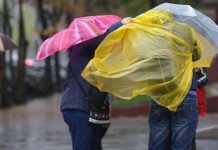 Se strică vremea. Două coduri galbene de ploi torențiale și vânt puternic pentru Vrancea vineri și sâmbătă