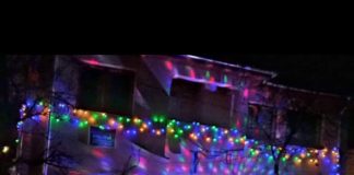 IPJ Vrancea: amenzi de peste 38.000 lei, permise și certificate ridicate în ultimele 24 de ore