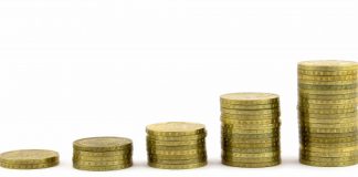 APIA: peste 648 milioane euro autorizate la plata finală în cadrul Campaniei 2022