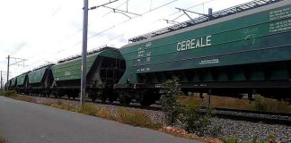 Preţurile medii la produsele agricole, valabile pentru anul 2023