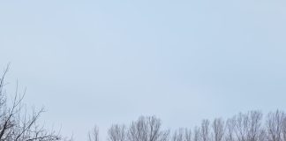 Un șofer fără permis de conducere a fugit de polițiști