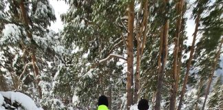 Tânăr cercetat pentru tâlhărie și viol. Victima, o femeie de 88 de ani FOTO VIDEO