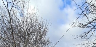 Tânărul acuzat de violarea și tâlhărirea unei bătrâne, arestat preventiv