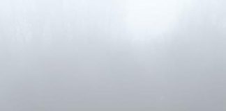 ULTIMA ORĂ Adolescenta dispărută din Paltin a fost găsită