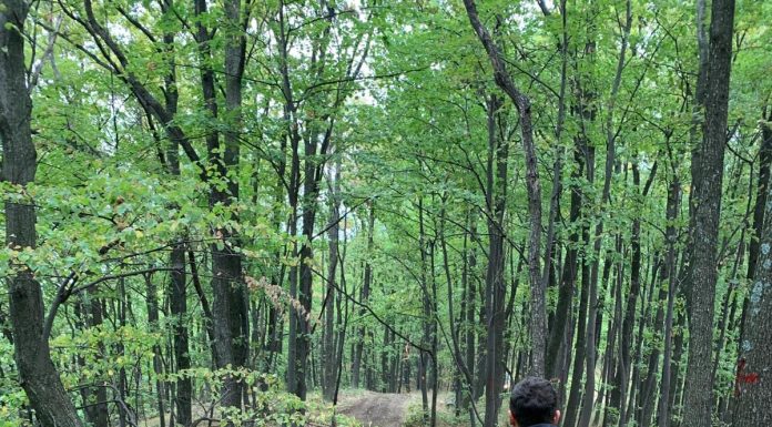 Bărbat mort în zona de munte