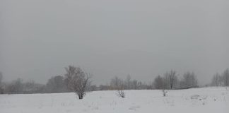 Iarna încearcă să-și reintre în drepturi: urmează ninsori, vânt și temperaturi scăzute