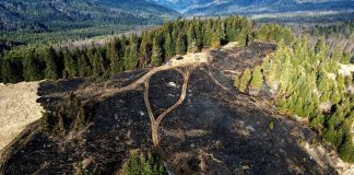 FOTO O mașină și o suprafață de vegetație au ars pe Vârful Furu Mic