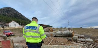 Depozitele de lemne, controlate de polițiști. Ce amenzi s-au dat
