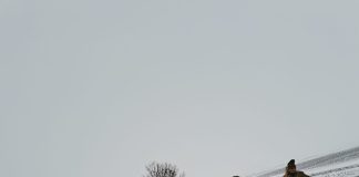 FOTO Militarii intervin pentru deszăpezirea mașinilor blocate în nămeți, în Vrancea și Buzău