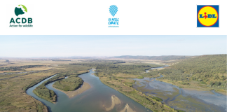 Proiect civic pentru reducerea poluării cu plastic în Lunca Siretului Inferior