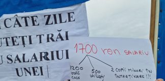 Sindicatele din învățământ protestează, miercuri, în fața Guvernului