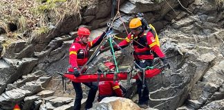 Persoană accidentată grav în urma unor lucrări forestiere. Salvamontiștii chemați să intervină