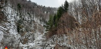 ULTIMA ORĂ Minoră din Paltin, căutată de autorități și salvamontiști