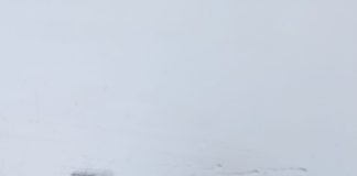 Trafic închis pe E85, spre București