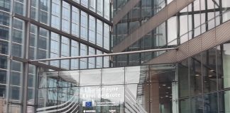 Reguli UE pentru combaterea dezinformării: Cod de bune practici privind marcarea și etichetarea conținutului generat de IA