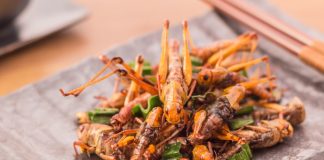 Proiect ANPC: reguli pentru comercializarea produselor alimentare ce conțin insecte