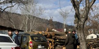 Controale în sectorul silvic: amenzi de 39.000 lei și confiscări de lemne