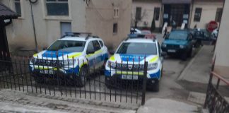 VIDEO Percheziții la Ocolul Silvic Tulnici