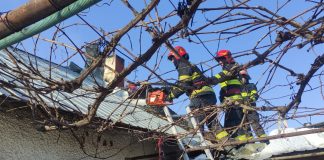 Casă din Vulturu, cuprinsă de flăcări. Patru echipaje intervin