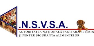 ANSVSA: Zero toxiinfecții alimentare în perioada sărbătorilor de iarnă