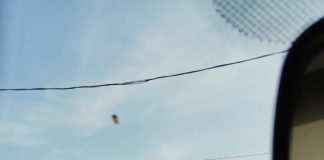 ULTIMA ORĂ FOTO Un tir și câteva mașini s-au ciocnit pe E85, la ieșirea din Golești spre Buzău