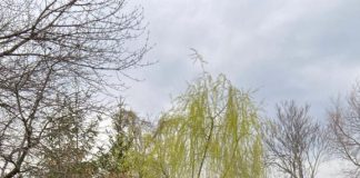 Tragedie evitată de polițiștii din Cârligele: au salvat în ultima clipă doi oameni și animalele dintr-o gospodărie care luase foc