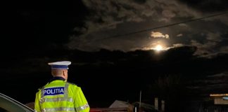 Acțiuni de control derulate de polițiștii din Panciu, soldate cu amenzi, confiscări și dosare penale / Un șofer a fost drogat, doi bărbați au fost depistați în timp ce tăiat ilegal arbori