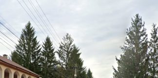 În comuna Vidra, interesul comercial primează în fața pietonilor puși în pericol zilnic (jurnalism cetățenesc)