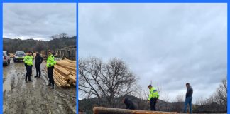 Controale în sectorul silvic, la Nereju: amenzi și confiscări de material lemnos