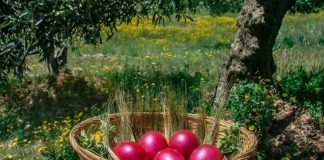 Gabriel Postolache, primarul comunei Țifești: „Sărbători fericite!”