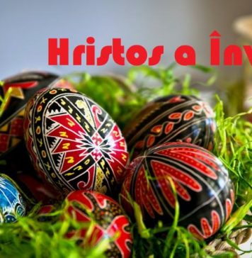 Gabriel Postolache, primarul comunei Țifești: „Sărbători Fericite!”