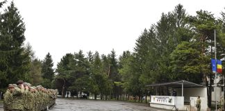 Ziua NATO, aniversată la Brigada 8 ROT ”Al. I. Cuza” Focșani