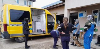 Acțiune de vaccinare și sterilizare a câinilor, la Bălești