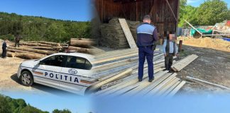 Acțiuni în sectorul silvic, soldate cu amenzi și confiscări de lemne