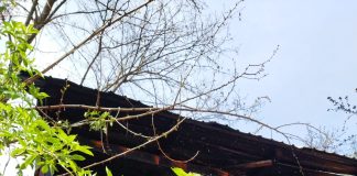 Anexă gospodărească, mistuită de flăcări la Tulnici