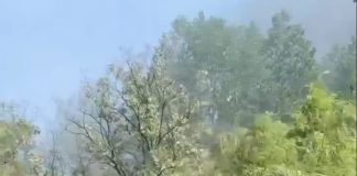 VIDEO Incendiu de vegetație la Zaga Zaga