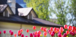 Meteo: vreme destul de caldă, dar și averse de ploaie în următoarele două săptămâni