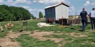 Ce spune poliția despre agresiunea de la Păunești