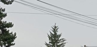 Voiau să vină la muncă în Vrancea, dar au ajuns la spital