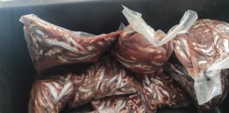 Ce mai găsește Protecția Consumatorilor pe litoral: alimente expirate, igienă precară, activități fără autorizație