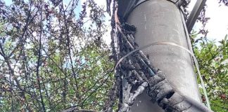 FOTO Un transformator electric a luat foc la Vârteșcoiu