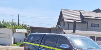 Polițiștii de la Protecția Animalelor, campanie de informare la Dumbrăveni